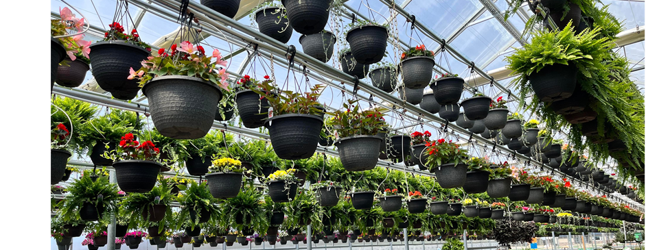 Spring Flower Fund Raiser